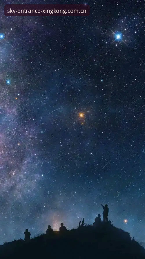 星空体育最新版下载哪个好？老用户手把手选择指南